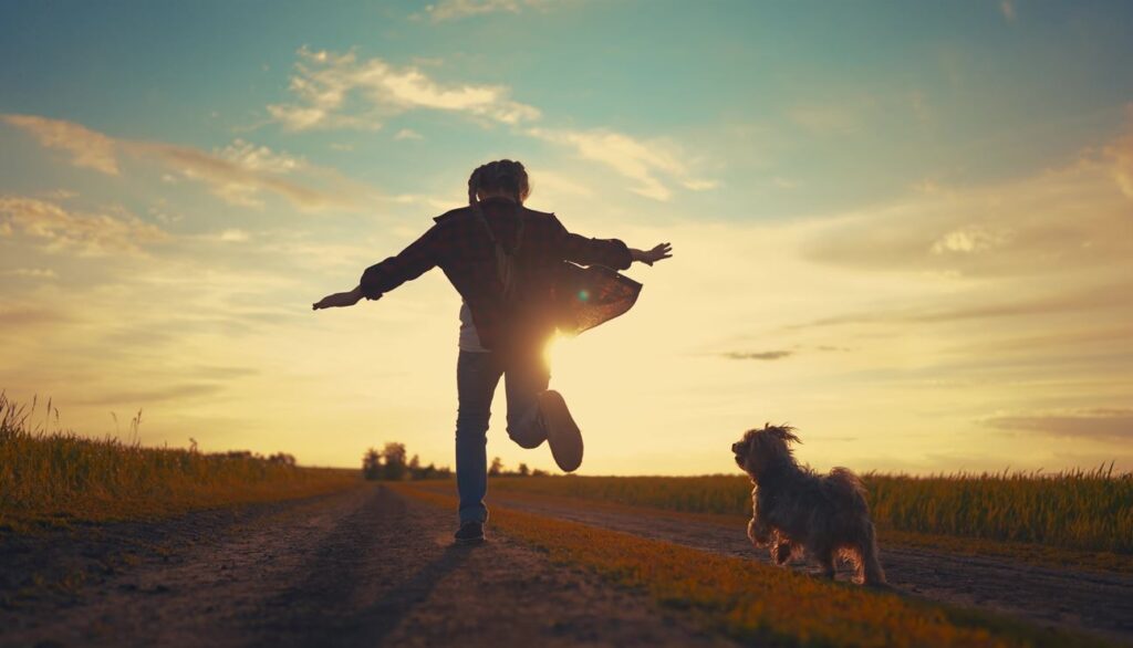 Ford Sumner Civil Aviation Act 2023